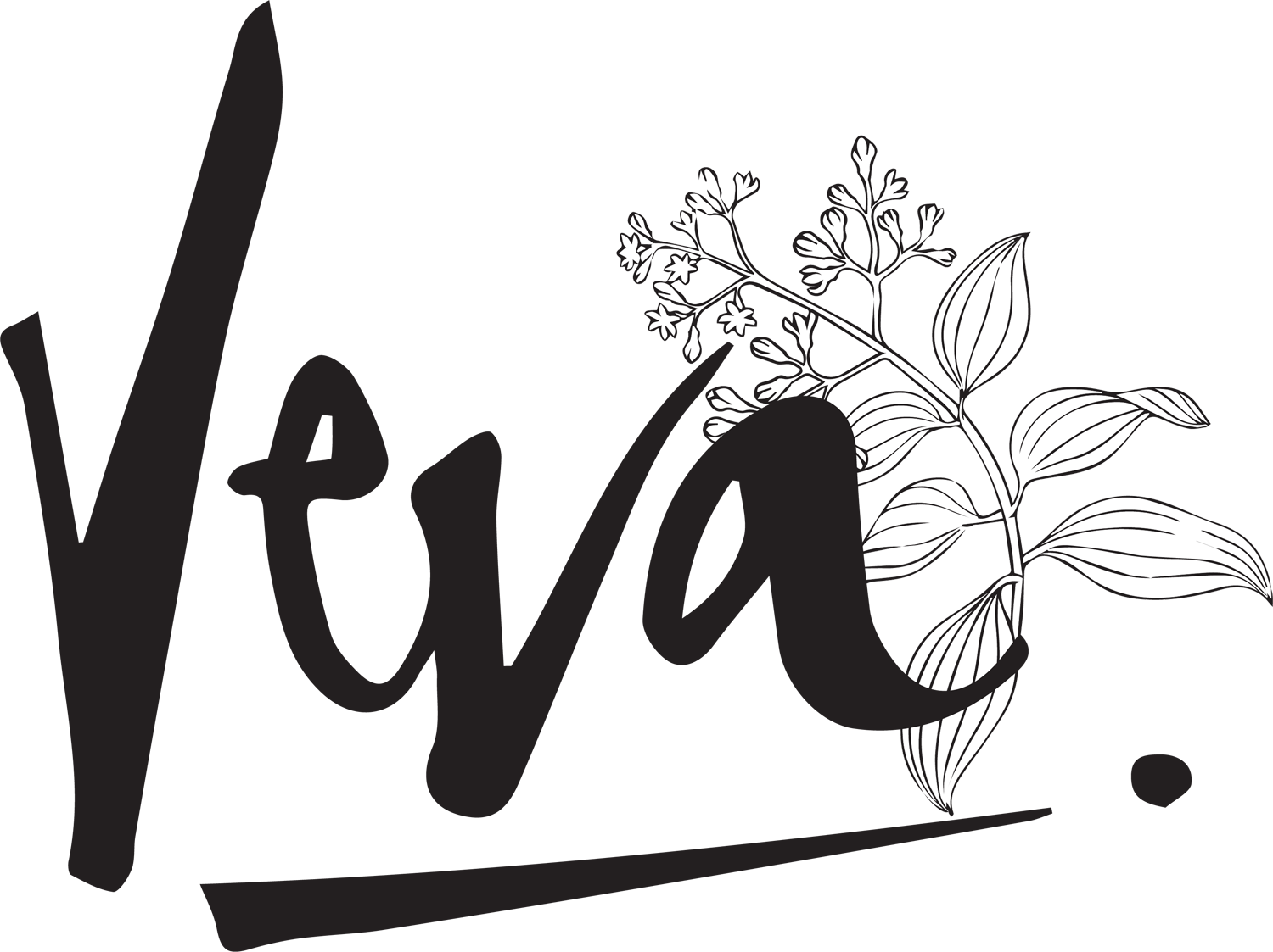 VEVA LANKA Cinnamon Products